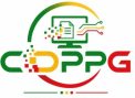 Cellule de Digitalisation et de Promotion du Programme Gouvernemental
